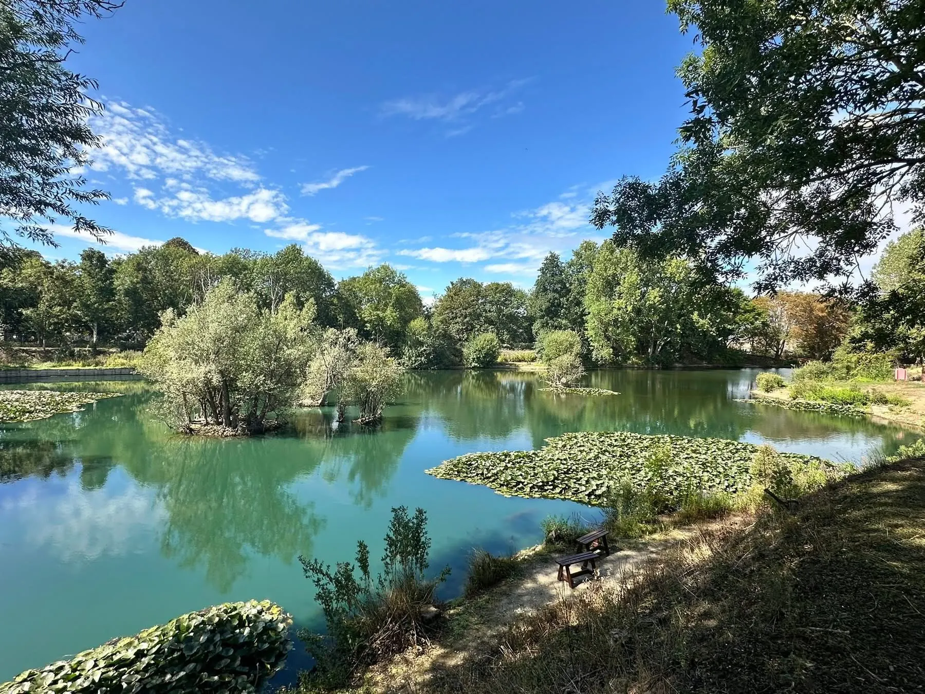 Bottom Pond at Plan B Angling in summer