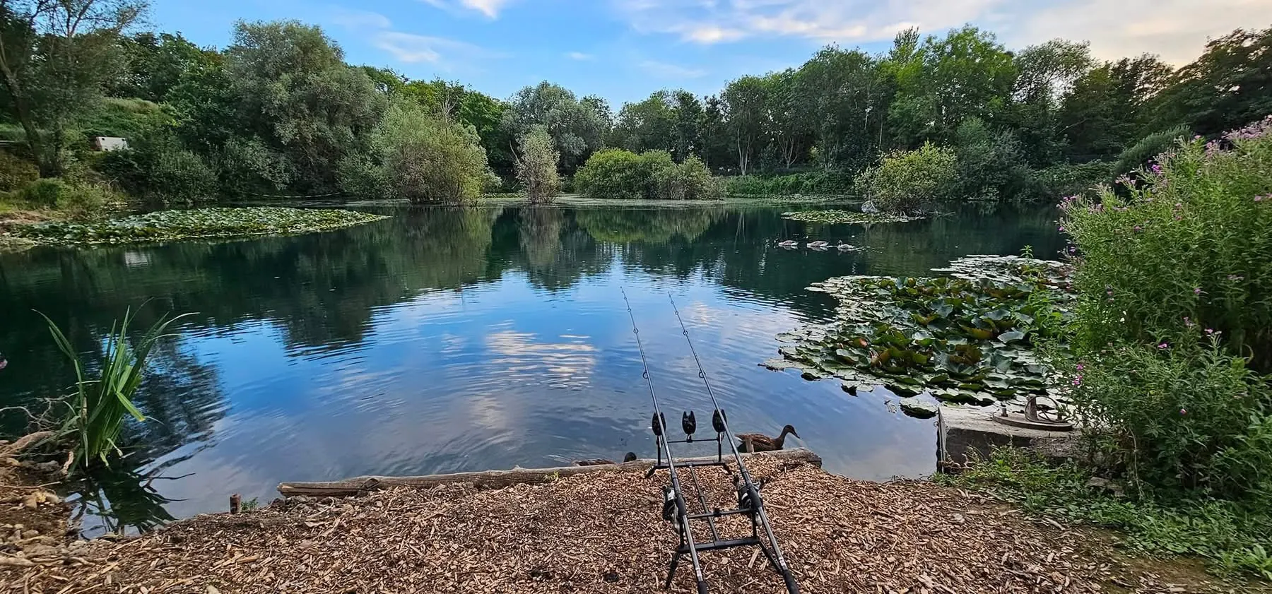Panoramic view across Bottom Pond