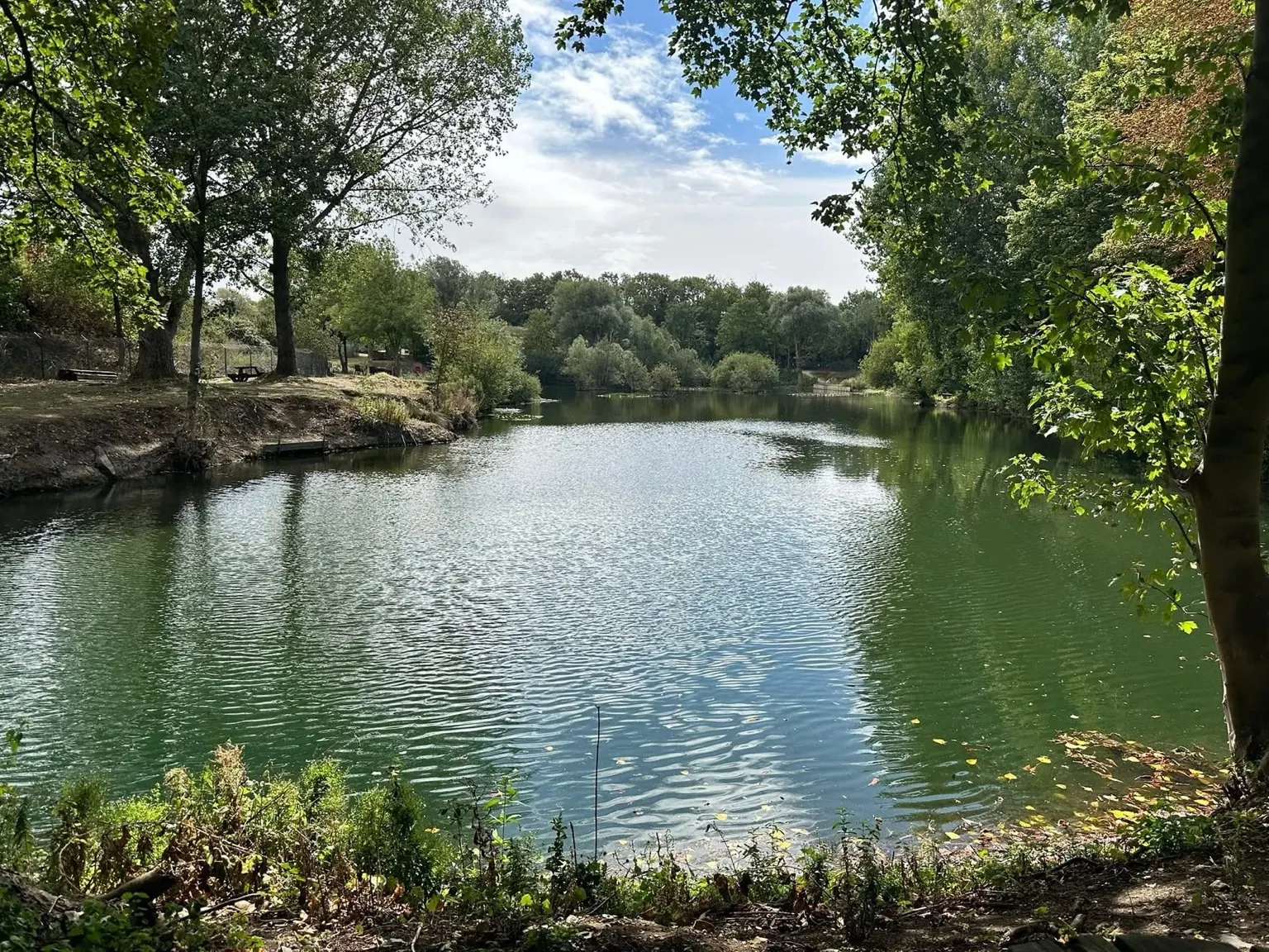 Summer view across the lake